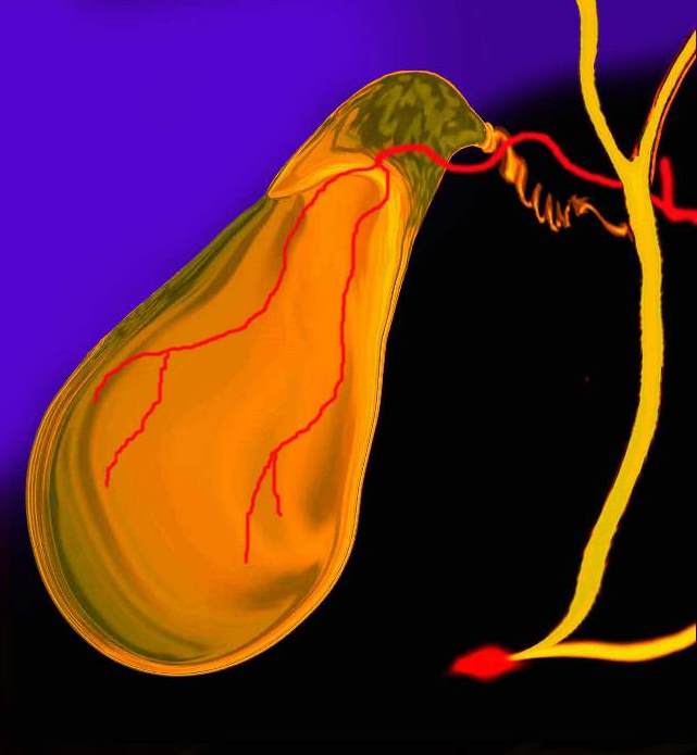 Image Library Gallbladder | BMC Radiology